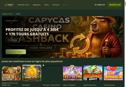 SEO analysis preview of capycas-france.com
