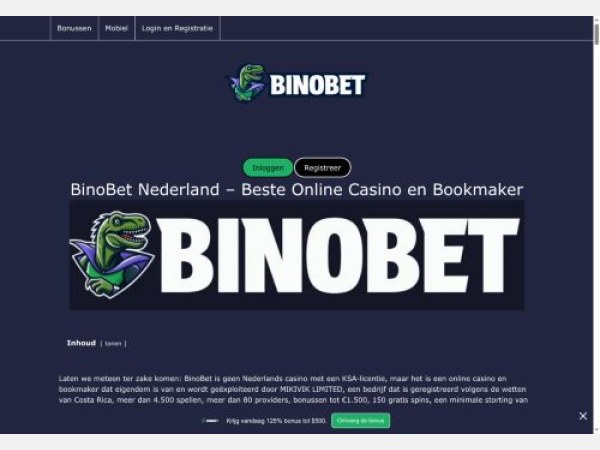 SEO analysis preview of infinitypos.nl