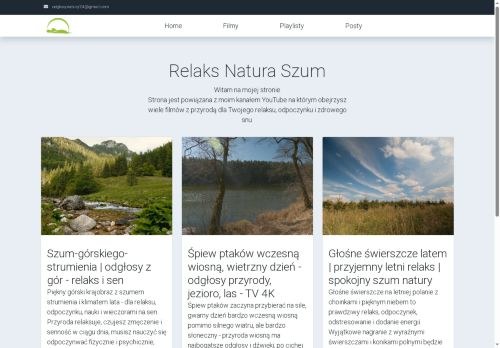 SEO analysis preview of relaxnaturenoise.com