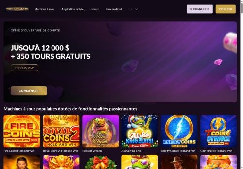 SEO analysis preview of winkingdom-fr.org