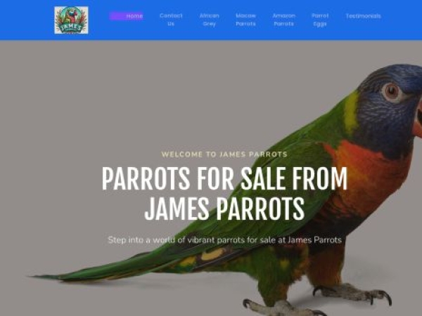 jamesparrotsforsale.co.uk