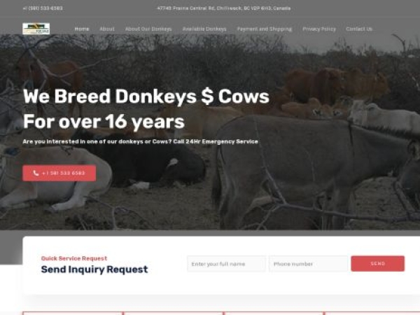 cattles-forsale.com
