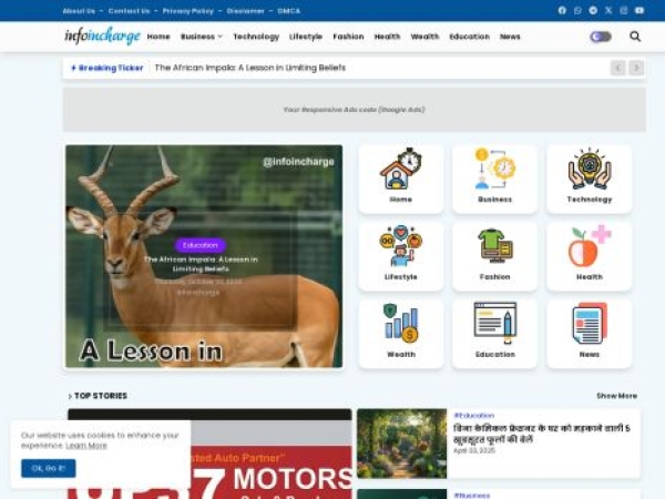 infoincharge.com