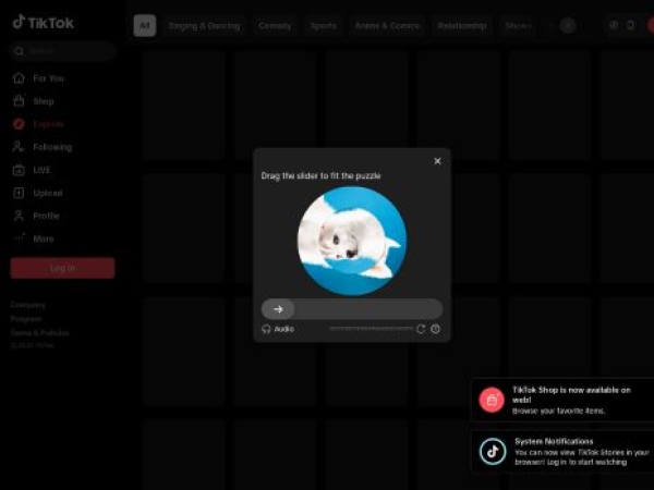 tiktok.com