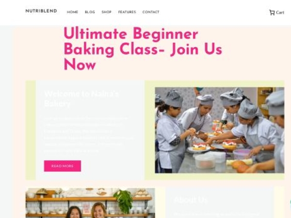 manishabhakre.niitlearning.in