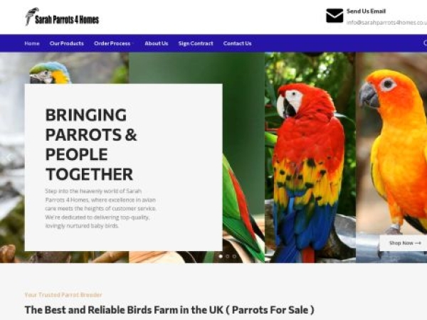 sarahparrots4homes.co.uk