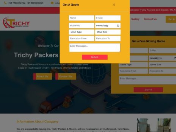 trichypackersandmovers.com