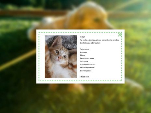 four-pawskennelsandcattery.co.uk