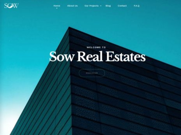 sowprojectsafrica.com